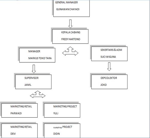 Detail Contoh Struktur Organisasi Perusahaan Kecil Nomer 51
