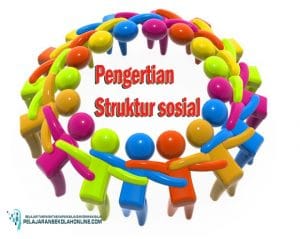 Detail Contoh Struktur Sosial Nomer 42