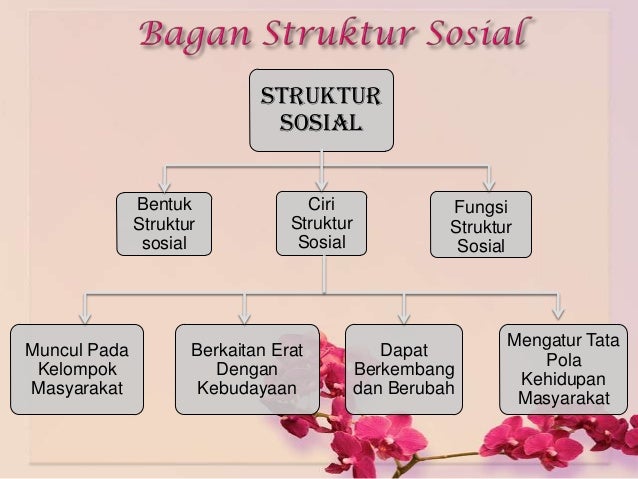 Detail Contoh Struktur Sosial Dalam Masyarakat Nomer 18