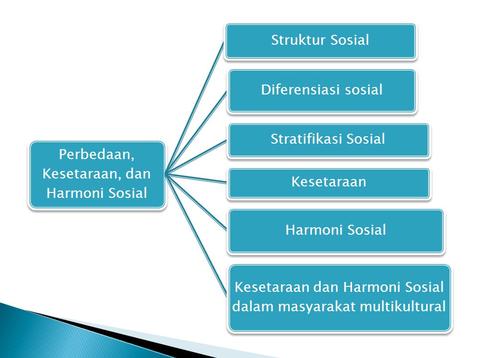 Detail Contoh Struktur Sosial Dalam Masyarakat Nomer 28