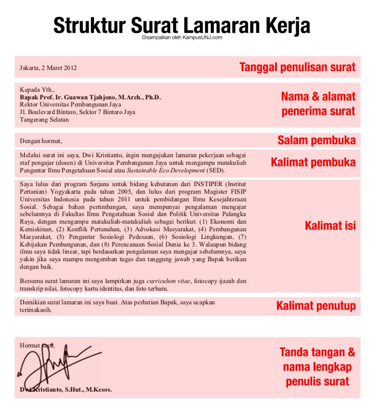 Detail Contoh Struktur Surat Lamaran Pekerjaan Nomer 2