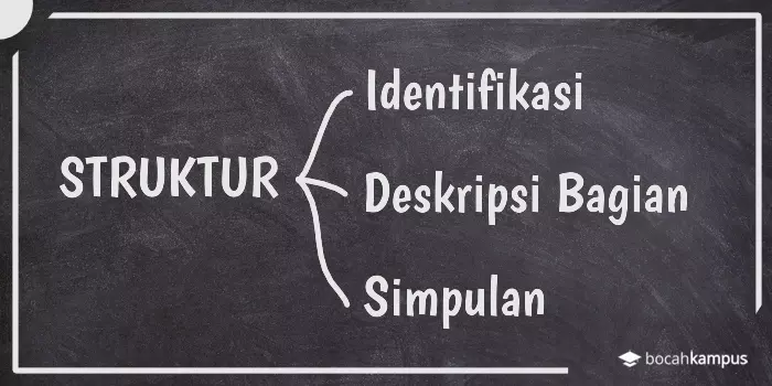Detail Contoh Struktur Teks Nomer 3