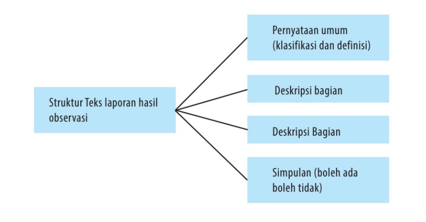 Detail Contoh Struktur Teks Hasil Observasi Nomer 20