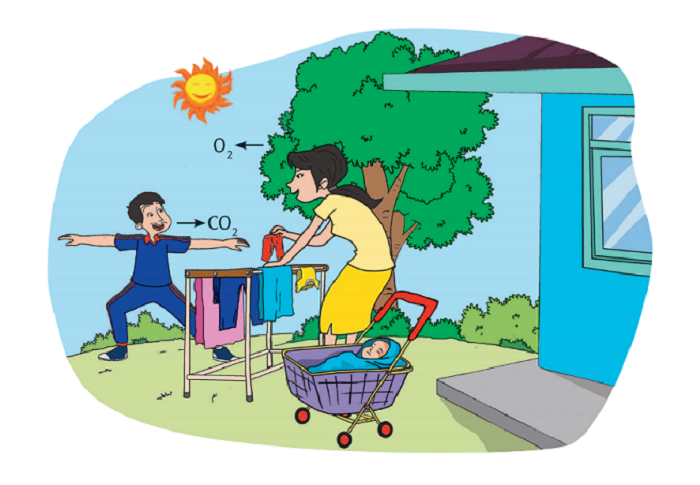 Detail Contoh Sumber Energi Panas Nomer 13