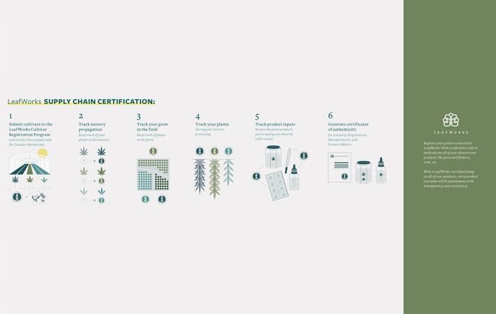 Detail Contoh Supply Chain Nomer 30