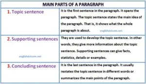 Detail Contoh Supporting Sentence Nomer 51