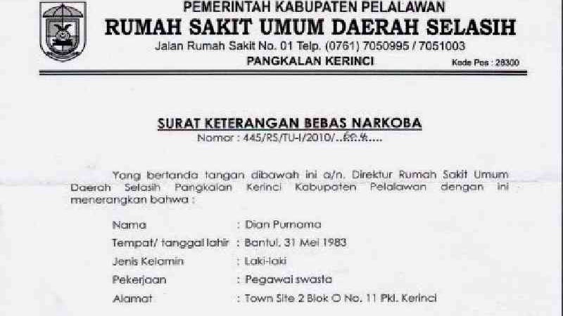 Detail Contoh Surat Bebas Narkoba Nomer 41