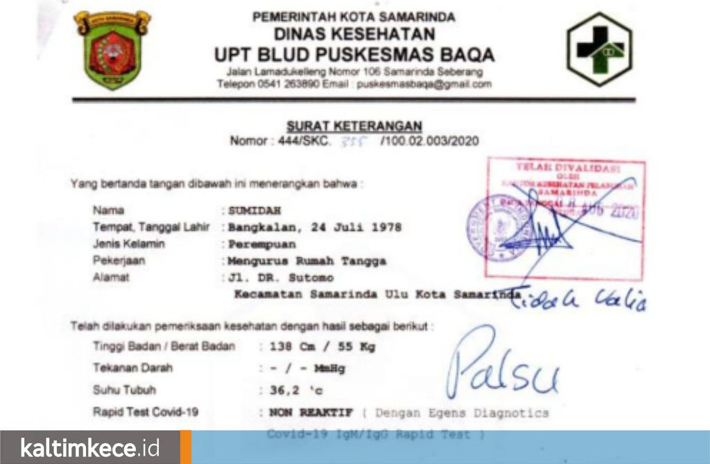 Detail Contoh Surat Hasil Rapid Test Nomer 5