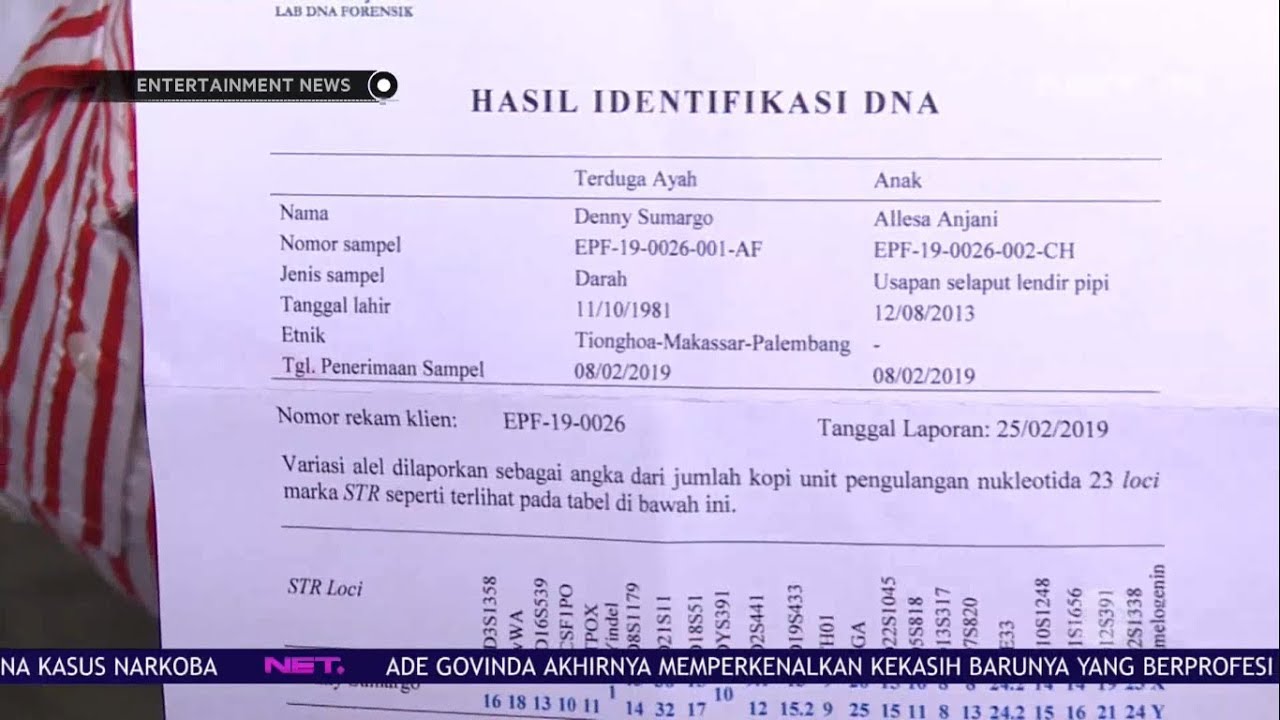 Detail Contoh Surat Hasil Tes Dna Nomer 3