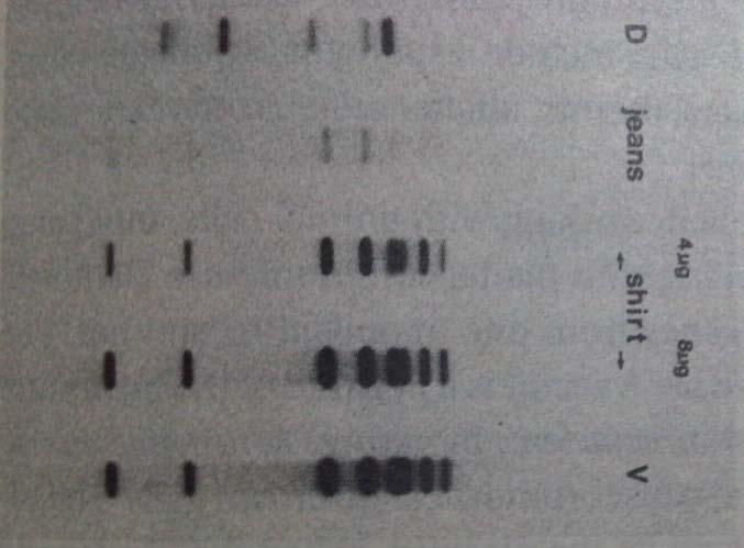 Detail Contoh Surat Hasil Tes Dna Nomer 36