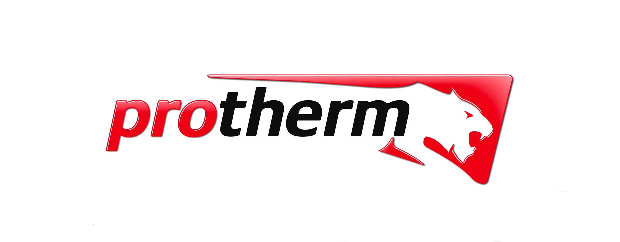 Detail Logo Protherm Nomer 4