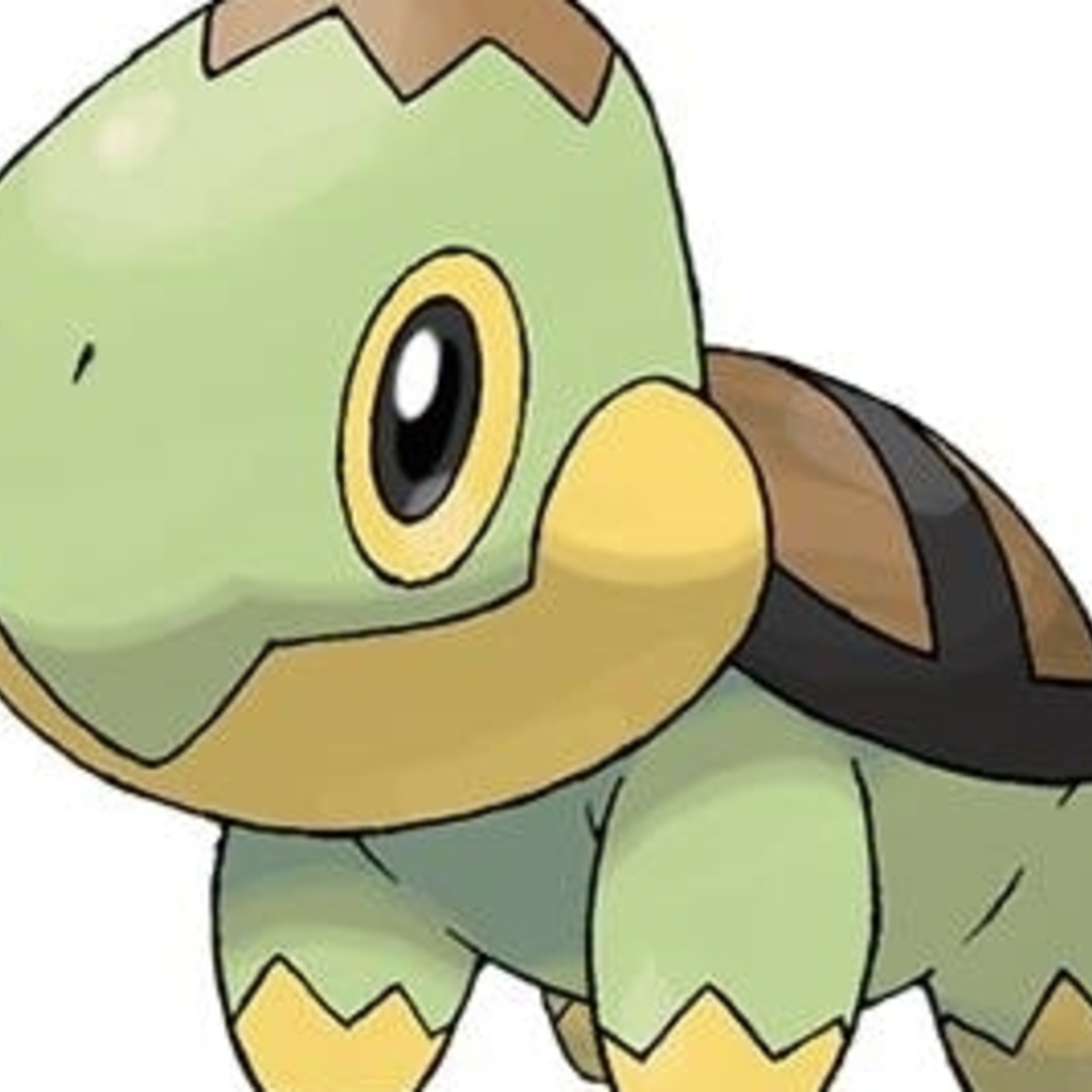 Detail Shiny Turtwig Nomer 7