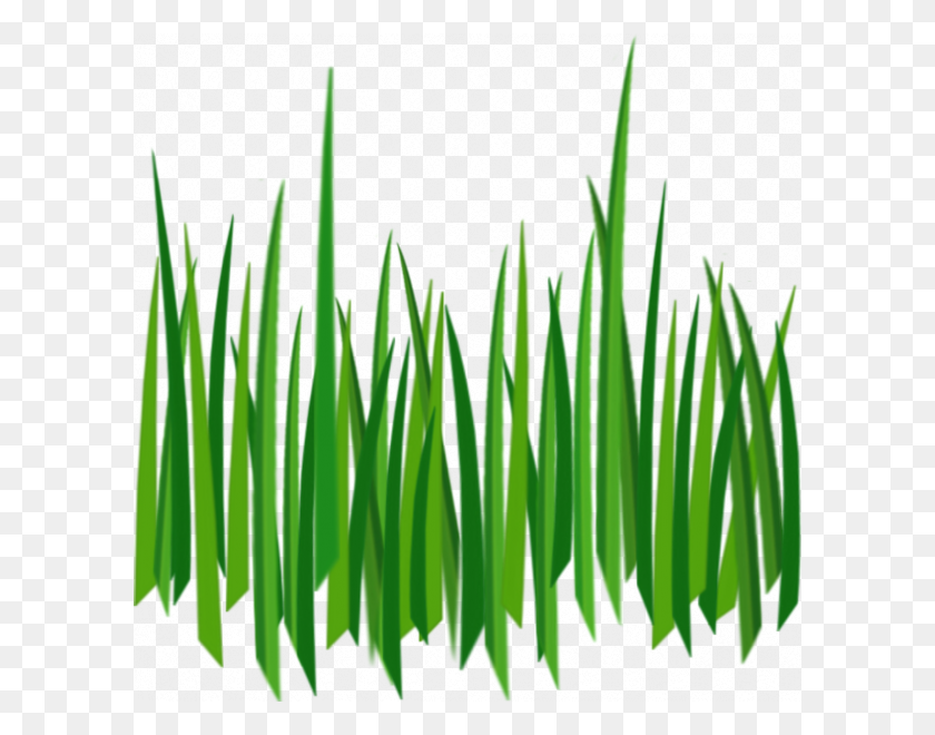 Detail Texture Png Nomer 5