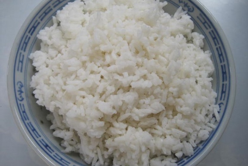 Detail Gambar Makan Nasi Nomer 39