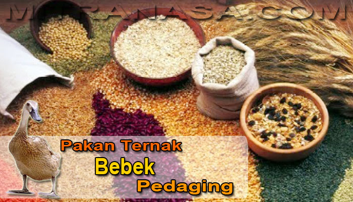 Detail Gambar Makanan Bebek Nomer 6