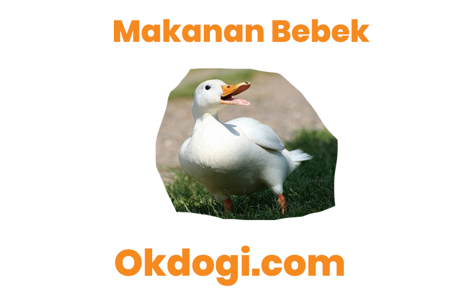 Detail Gambar Makanan Bebek Nomer 50