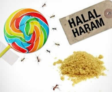 Detail Gambar Makanan Dan Minuman Yang Halal Dan Haram Nomer 51