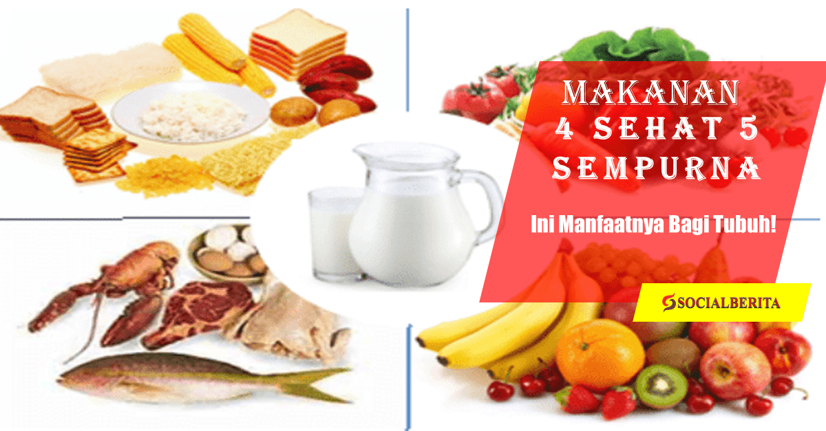 Detail Gambar Makanan Empat Sehat Lima Sempurna Nomer 5