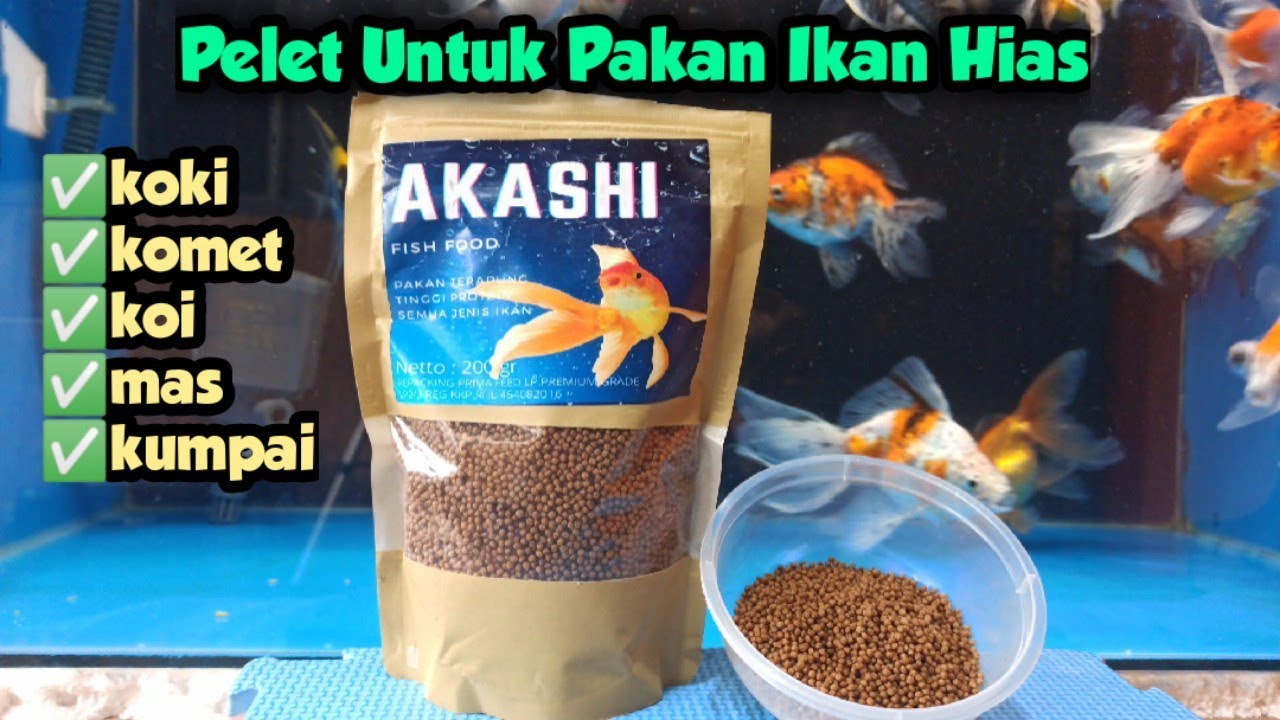 Detail Gambar Makanan Ikan Mas Nomer 53