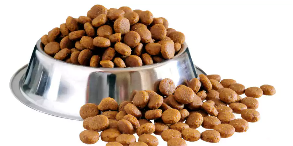 Detail Gambar Makanan Kucing Nomer 34
