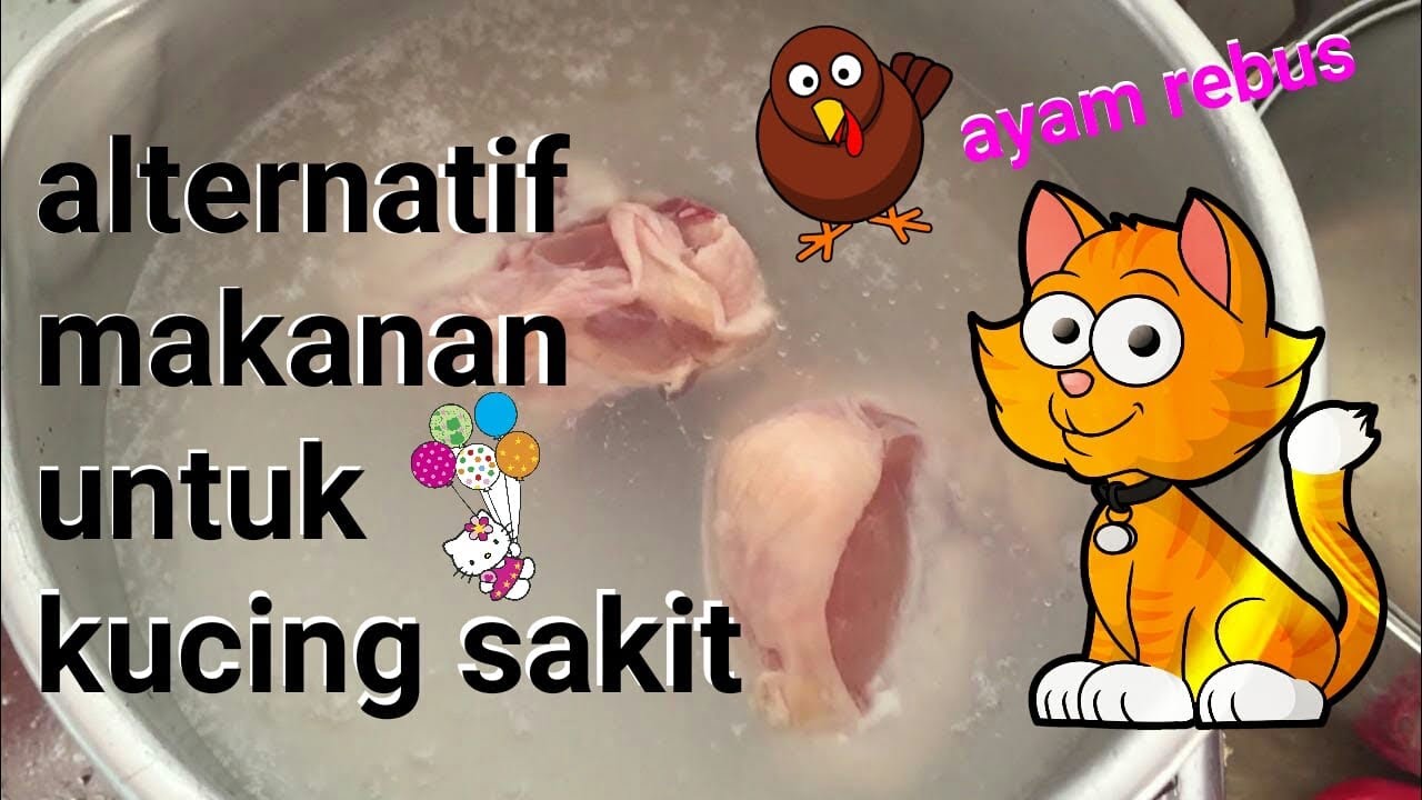 Detail Gambar Makanan Kucing Kartun Nomer 38