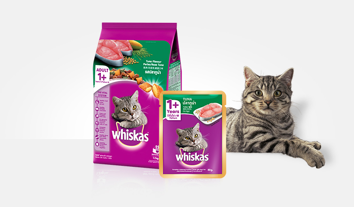 Detail Gambar Makanan Kucing Whiskas Nomer 30