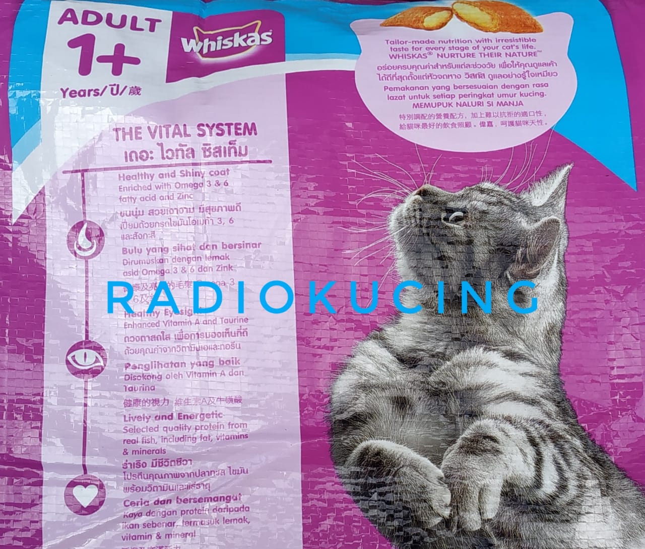 Detail Gambar Makanan Kucing Whiskas Nomer 48
