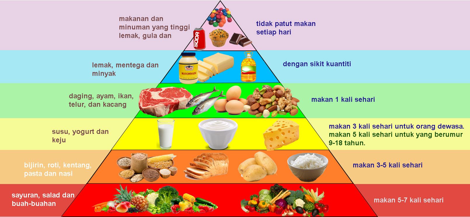 Detail Gambar Makanan Seimbang Nomer 5