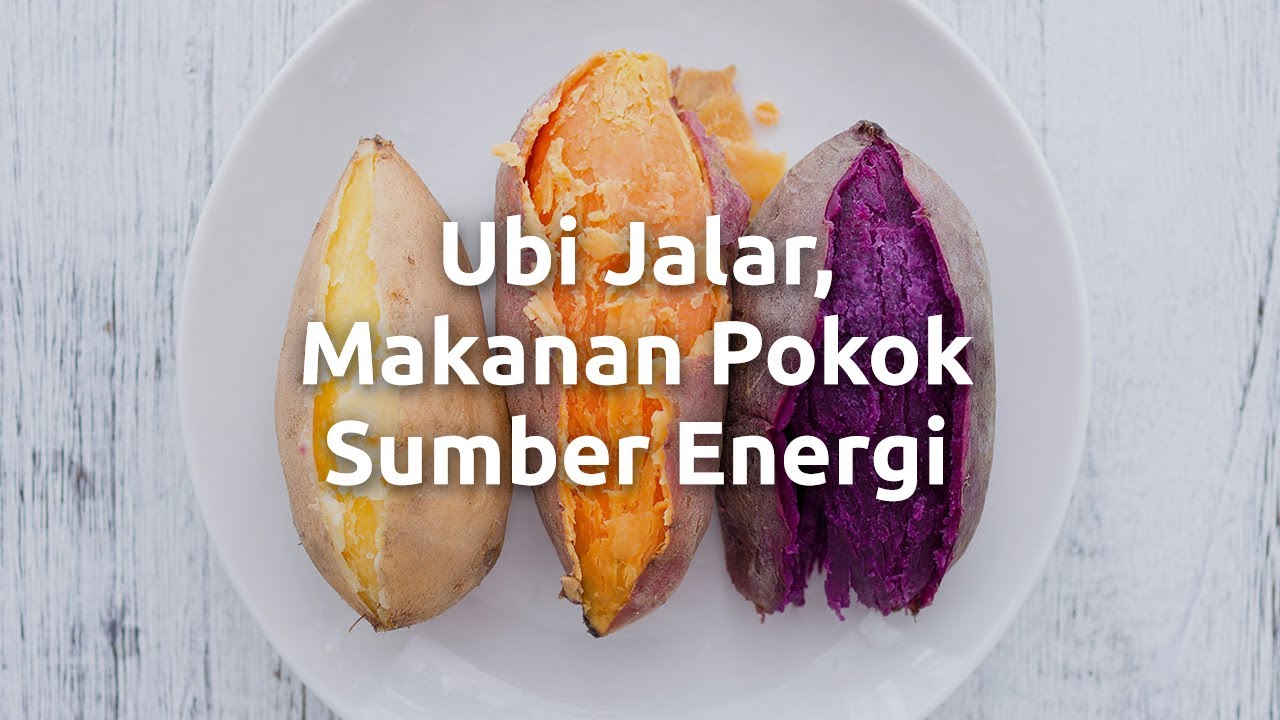 Detail Gambar Makanan Sumber Energi Nomer 51