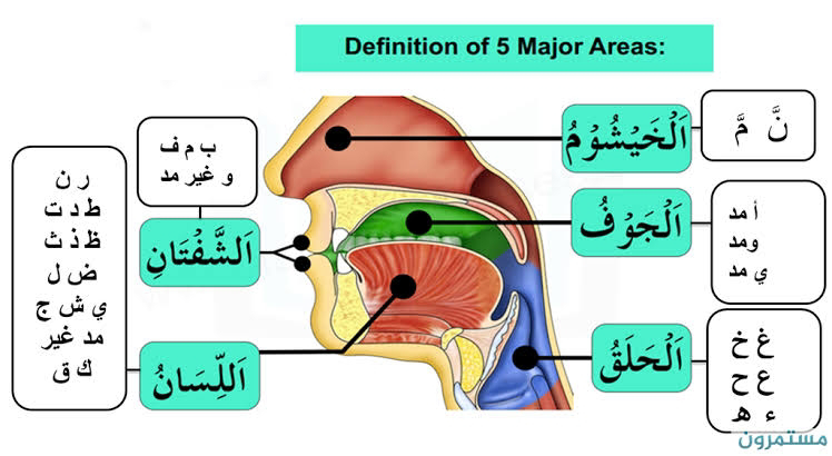 Detail Gambar Makharijul Huruf Nomer 12