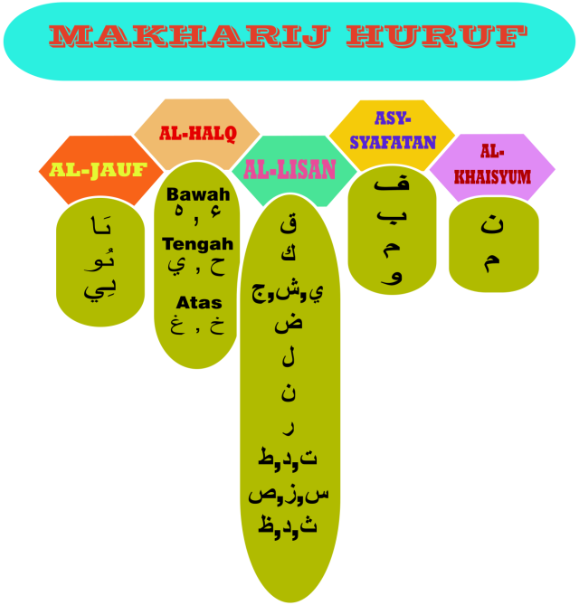 Detail Gambar Makharijul Huruf Nomer 27