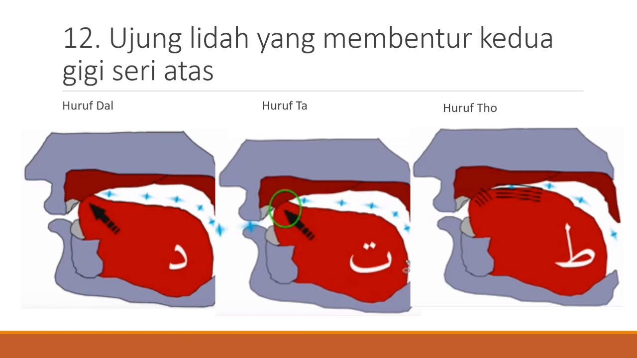 Detail Gambar Makharijul Huruf Nomer 32