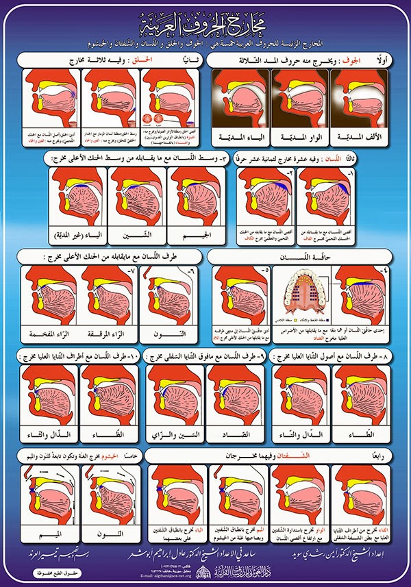 Detail Gambar Makharijul Huruf Nomer 9