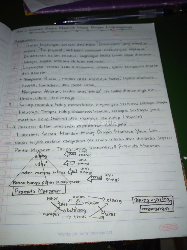 Detail Gambar Makhluk Hidup Di Lingkungan Nomer 40