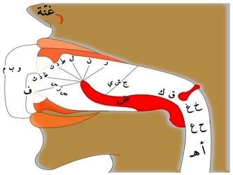 Detail Gambar Makhorijul Huruf Nomer 5