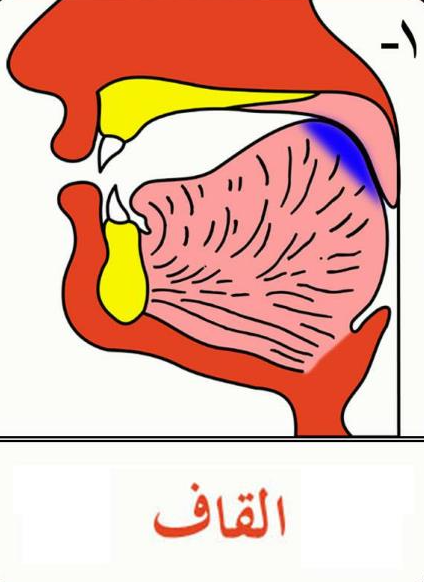 Detail Gambar Makhorijul Huruf Nomer 44