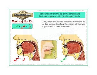 Detail Gambar Makhraj Huruf Nomer 48