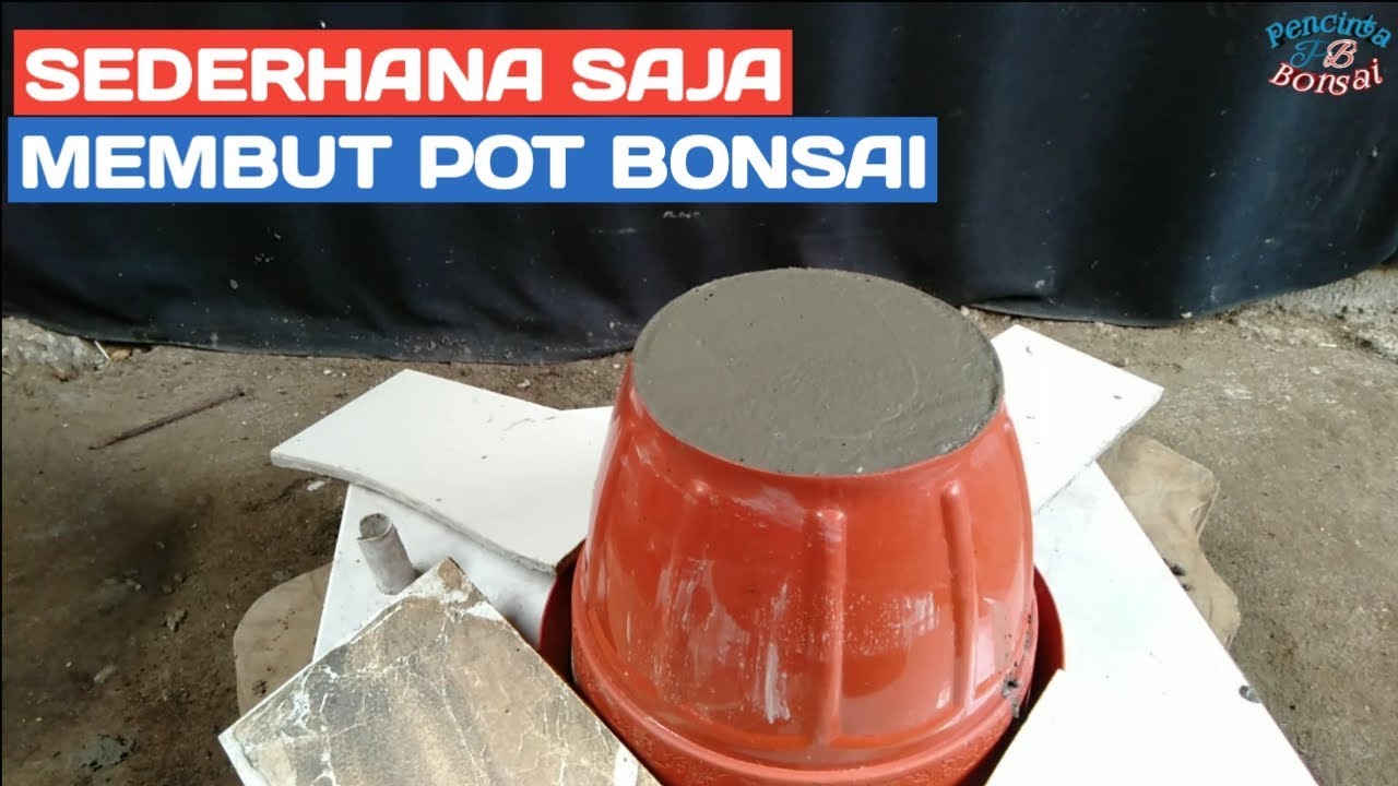 Detail Gambar Mal Pot Bonsai Nomer 44