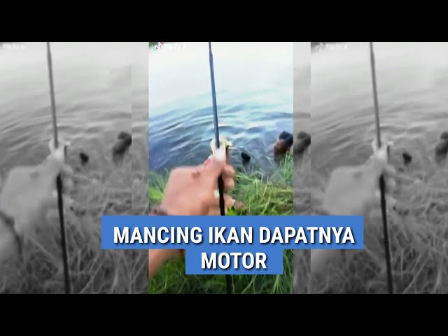 Detail Gambar Mancing Ikan Nomer 50