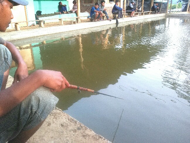 Detail Gambar Mancing Ikan Di Kolam Nomer 14