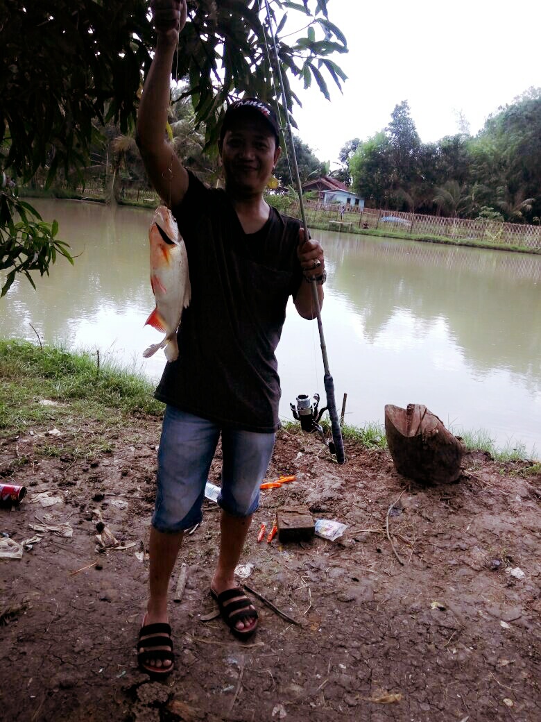 Detail Gambar Mancing Ikan Di Kolam Nomer 21