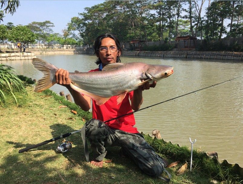 Detail Gambar Mancing Ikan Di Kolam Nomer 26