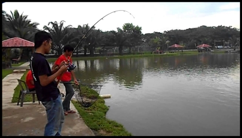 Detail Gambar Mancing Ikan Di Kolam Nomer 29