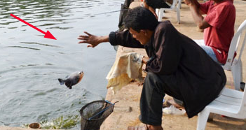 Detail Gambar Mancing Ikan Di Kolam Nomer 38