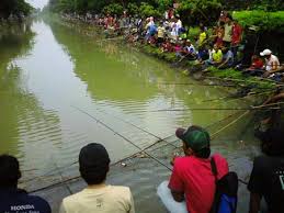 Detail Gambar Mancing Ikan Di Kolam Nomer 48