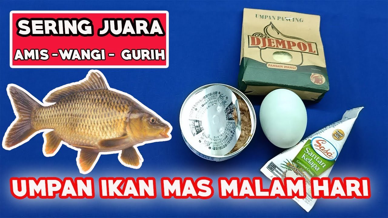 Detail Gambar Mancing Ikan Emas Nomer 51