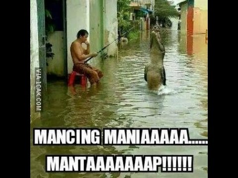 Detail Gambar Mancing Mania Lucu Nomer 30