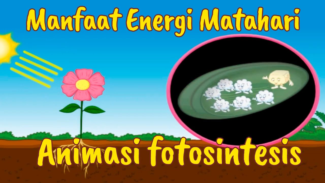 Detail Gambar Manfaat Energi Matahari Nomer 53