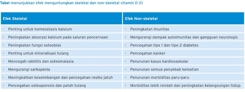 Detail Gambar Manfaat Vitamin D Nomer 27