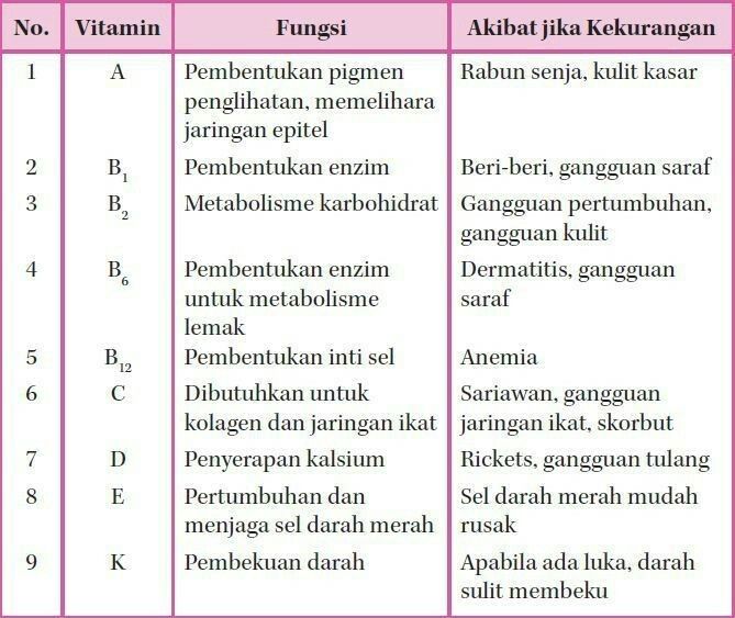 Detail Gambar Manfaat Vitamin D Nomer 31